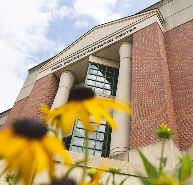 Yellow flowers outside of Thad Cochran